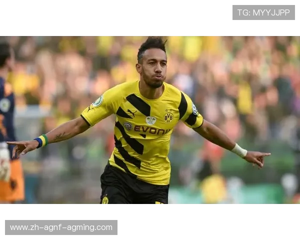 法甲球员在现代足球技术体系下的适应能力研究