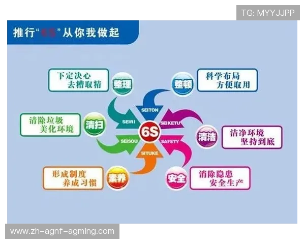 球队年度投入产出比分析反映管理效率