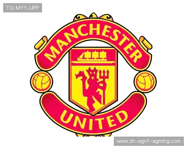 英超球队标志性狮子元素解析 英超球队标志性狮子元素解析