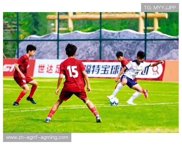 足球青训体系对青少年发展的影响